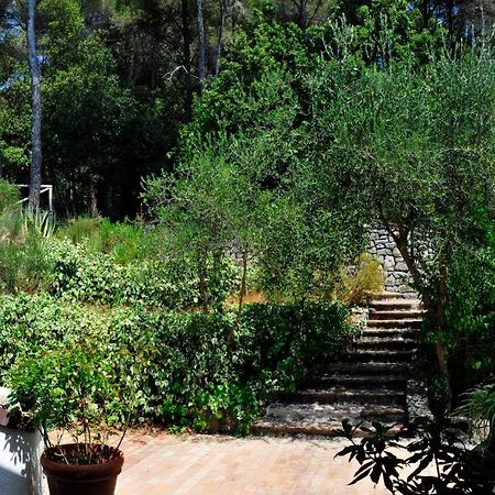 B&B Al Cavalluccio Marino Monte Marcello Exterior photo