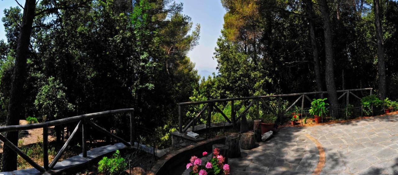 B&B Al Cavalluccio Marino Monte Marcello Exterior photo