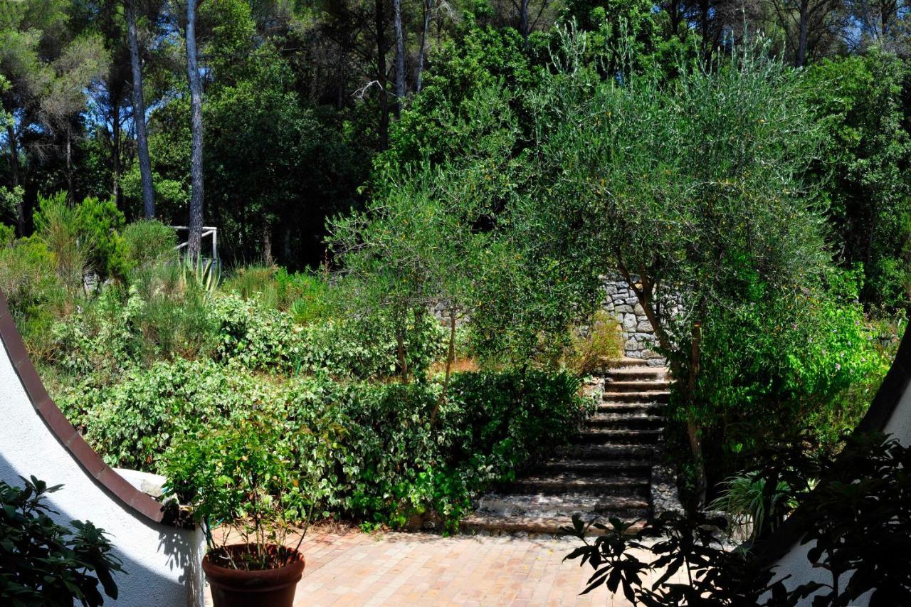B&B Al Cavalluccio Marino Monte Marcello Exterior photo