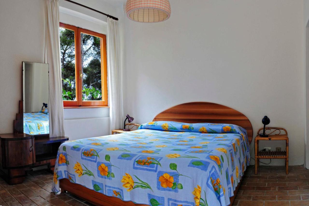 B&B Al Cavalluccio Marino Monte Marcello Exterior photo